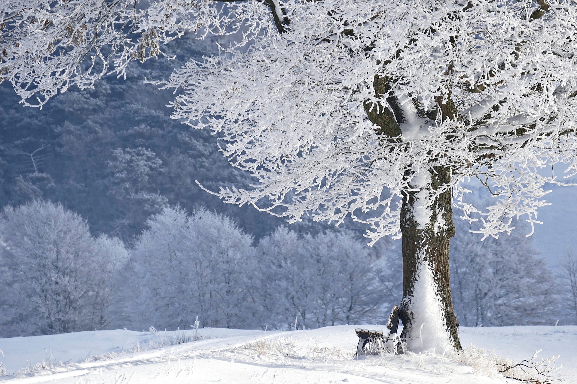 Snow